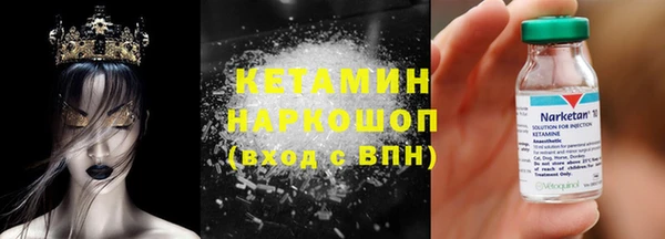 PSILOCYBIN Бородино
