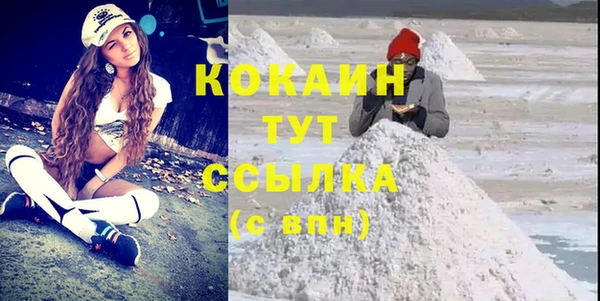 PSILOCYBIN Бородино