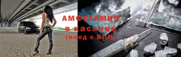 PSILOCYBIN Бородино